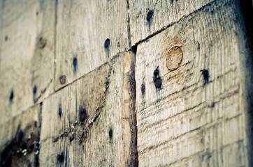 Obraz premium wooden wall