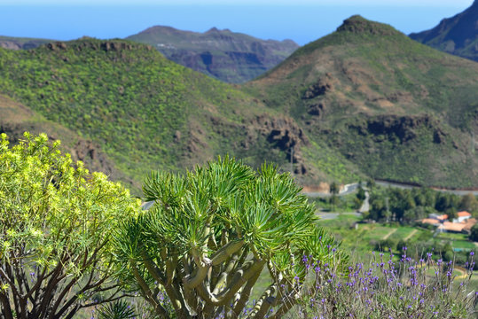 Gran Canaria landscape