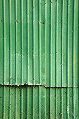 old green wall in sun light