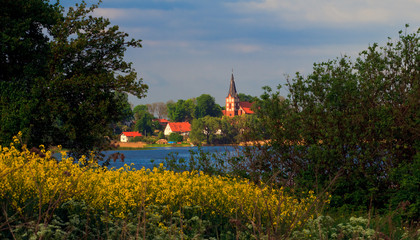 Letni Wiejski Krajobraz © Wojciech Lisiński