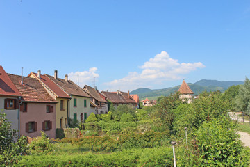 Alsace Bergheim