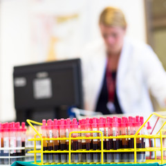 Rack of tubes with blood samples.