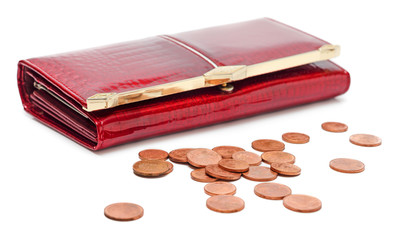 Purse with Euro coins