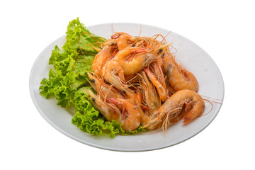 Big tiger shrimps