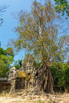 Gateway to Ta Som Temple, Siem Reap, Cambodia