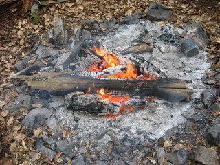 Раздумья у затухающего костра