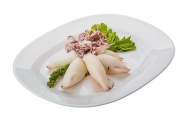 Boiled squid