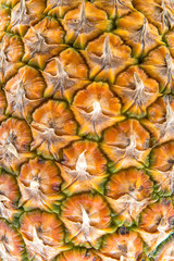 Scorza di ananas formata da  brattee fuse tra loro