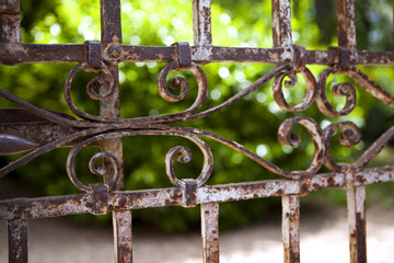 Old rusty gate in a park