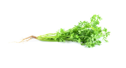 Bunch of fresh parsley isolated over white background