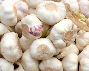 Fresh garlic on a local market