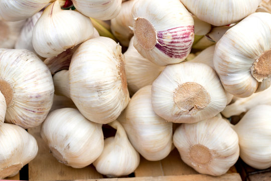 Fresh garlic on a local market