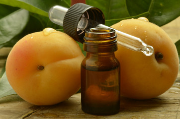 Marelice Apricots Albicocche Albaricoques Aprikosen