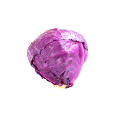 Obraz premium head of red cabbage on a white background