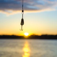 Poster vissen op een meer voor zonsondergang © digidreamgrafix