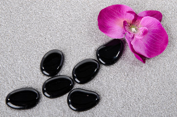 Flower with black pebbles on the sand