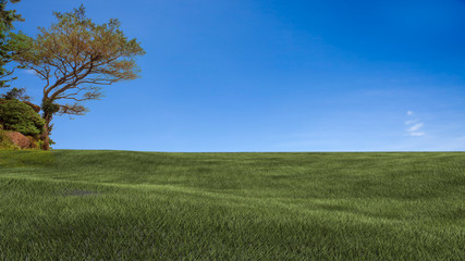 Field,tree and blue sky for adv or others purpose use