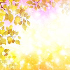 Obraz premium もみじ 紅葉 背景