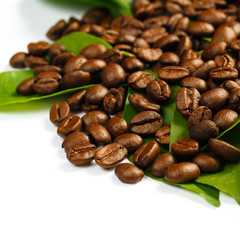 Coffee beans