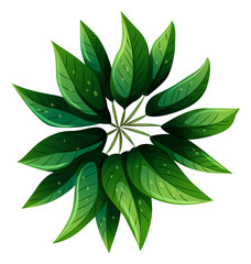 An aerial view of a green plant