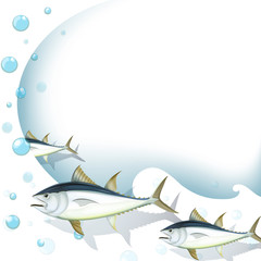 An ocean-designed stationery