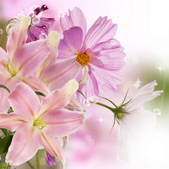 Fototapeta na wymiar Lily.Flower icon.Floral background