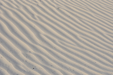 sand background