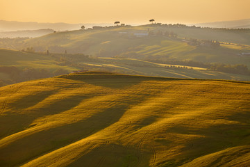 Fototapeta premium Countryside, San Quirico d`Orcia , Tuscany, Italy