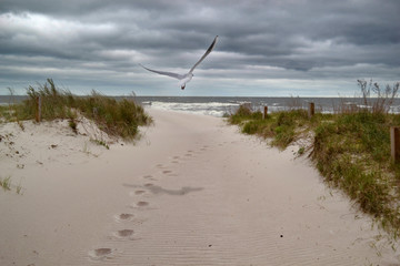 Spuren ans Meer bei Gewitter mit Möwe
