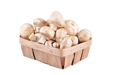 basket with mushrooms