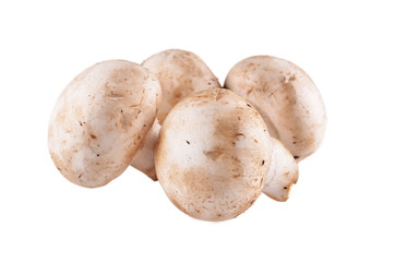 champignons on a white background