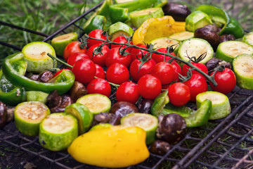 Fresh vegetables for grilling outdoors