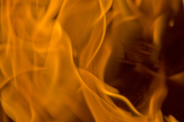 Obraz premium Feuerflamme