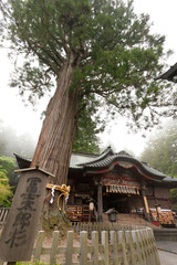 北口本宮冨士浅間神社