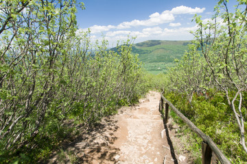 Połonina Caryńska, widok ze zbocza Małej Rawki, Bieszczdy, Polsk © Piotr Szpakowski