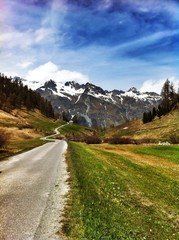 Fototapeta premium road in the valley