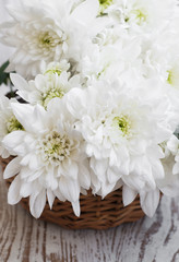 White Chrysanthemum