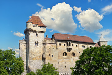 Fototapeta na wymiar Historic castle on blue sky background. Liechtenstein