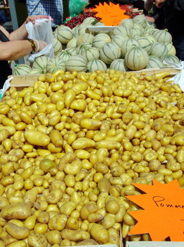 &eacute;tal de pomme de terre primeur
