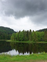 Fototapeta na wymiar Spiegelung im Waldsee