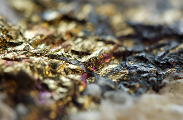 Nugget. Extreme closeup