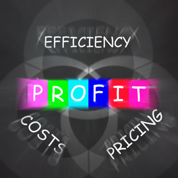 Profit Displays Efficiency in Costs and Pricing