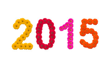 Numbers 2015 made from Zinnias flowers