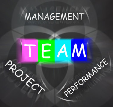 Words Displays Team Management Project Performance