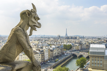 Aerial View of Paris from Notre-dame - obrazy, fototapety, plakaty
