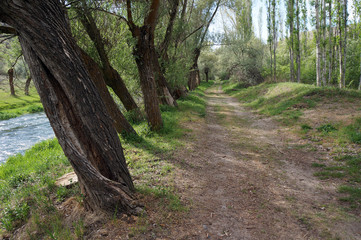 Footpath