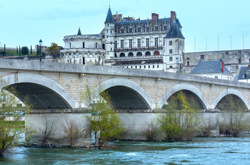 Amboise Castle spring view (France)