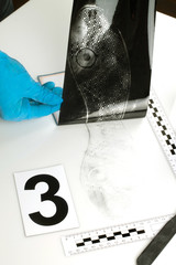 Disclosure of forensic evidence.