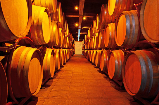 wine - wooden barrels - cellar