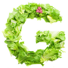 g lettuce letter on a white background